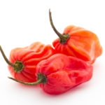 habanero peppers